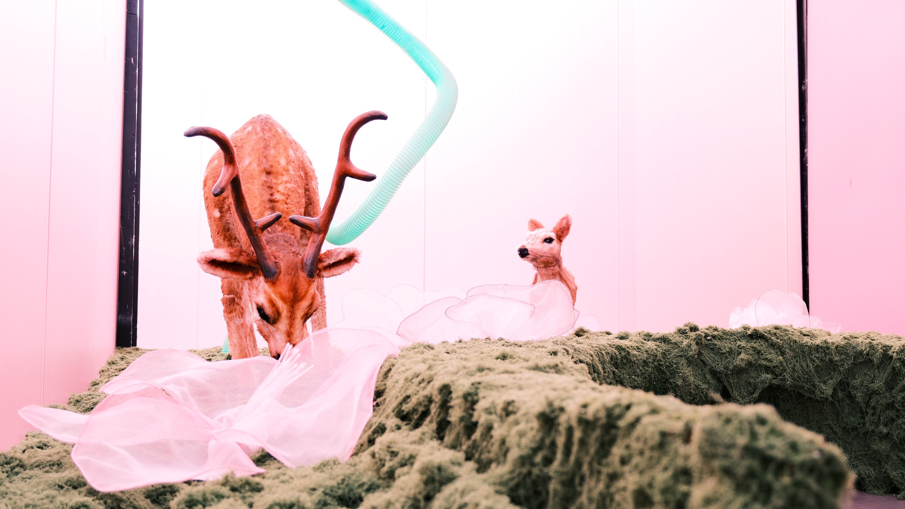 A deer sculpture grazing on a mossy mound in a pink room, a fawn behind it