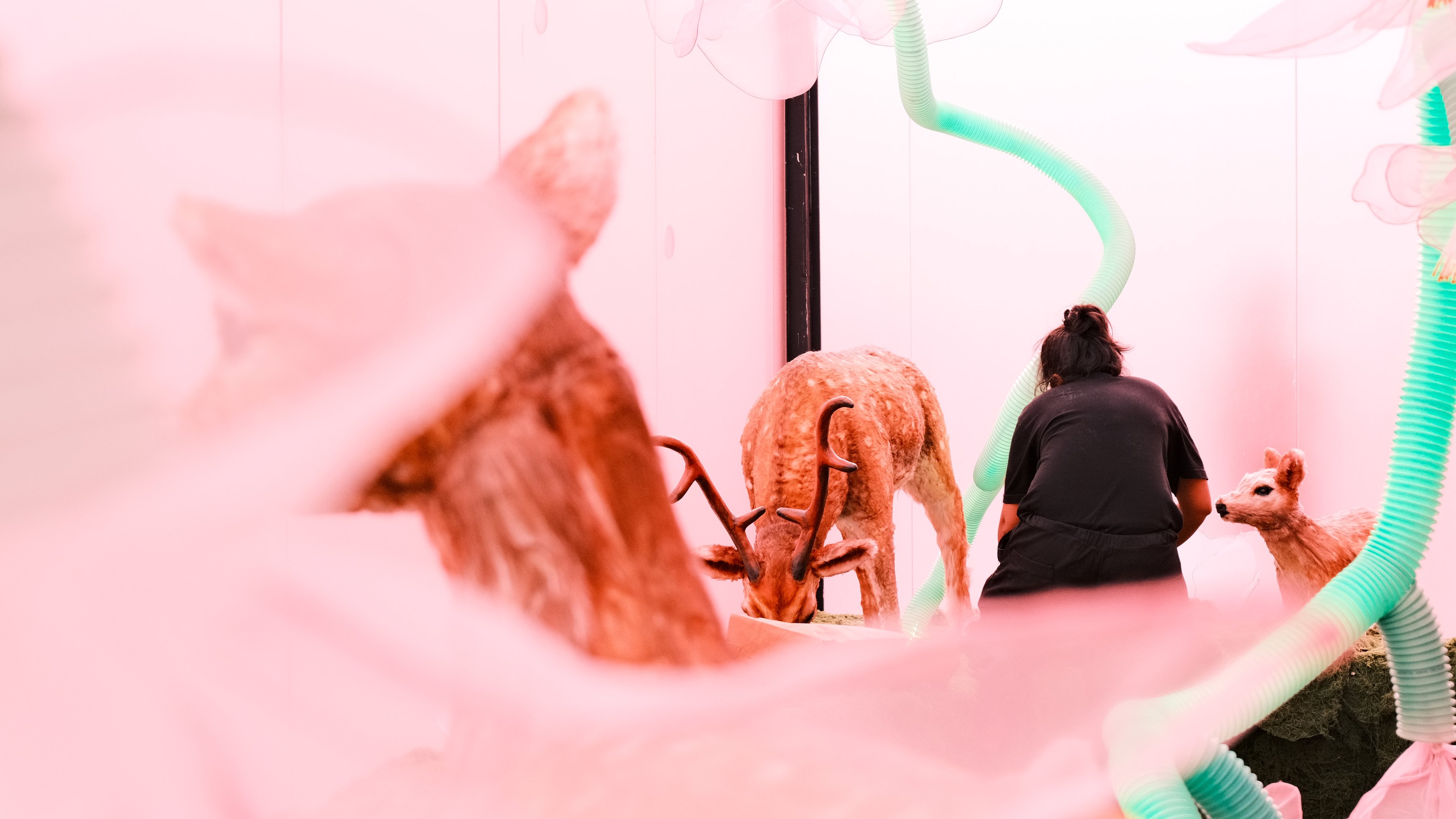 Sheer pink fabric framing deer sculptures and a visitor crouched beside them