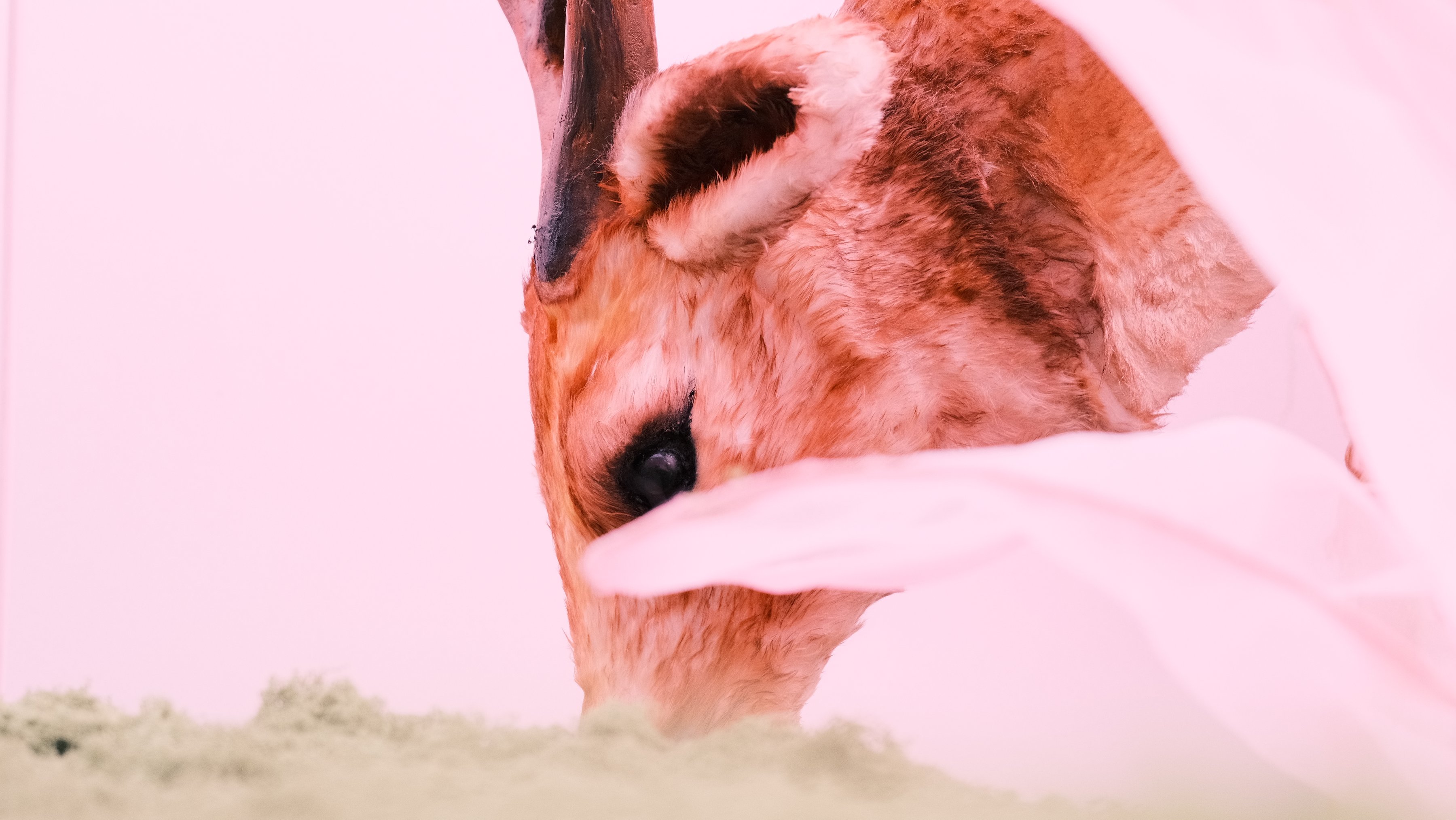 A deer sculpture’s eye and fur up close, sheer fabric in the foreground