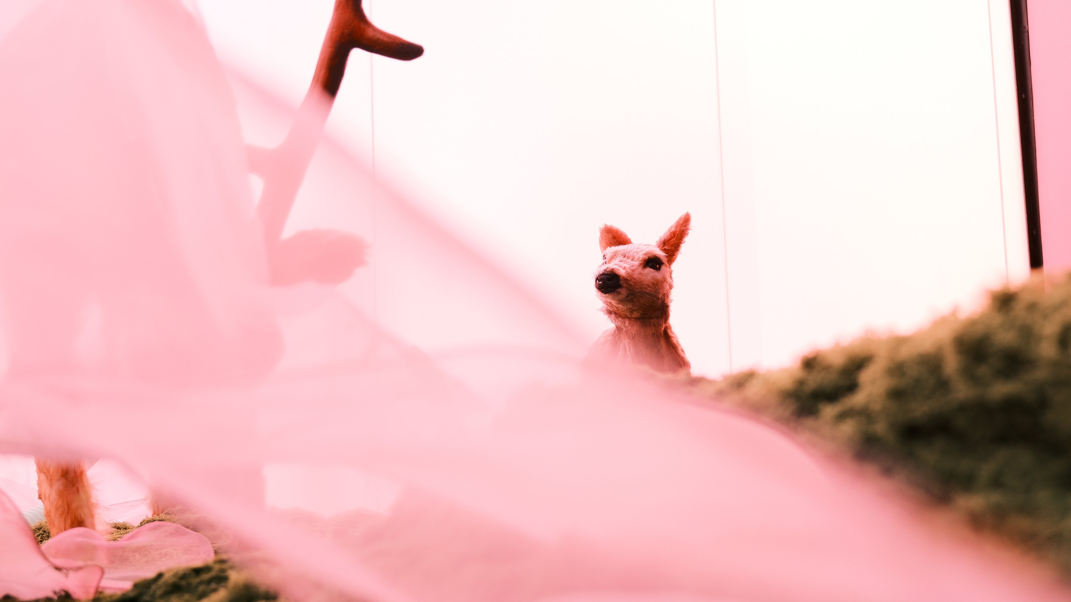 A small fawn sculpture on a mossy ridge, seen past pink fabric