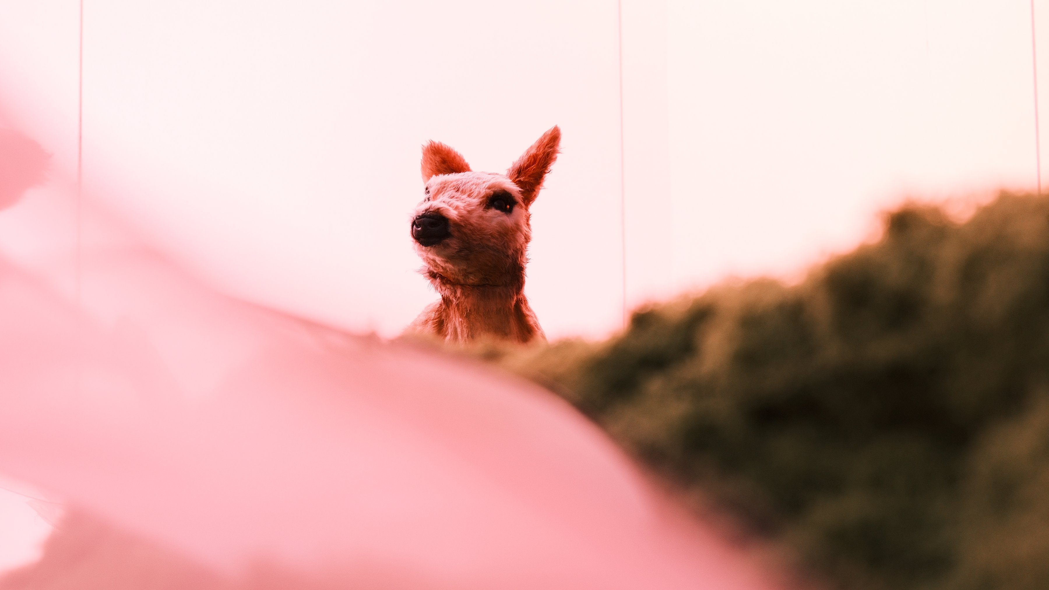 A fawn sculpture watching from the top of a mossy mound