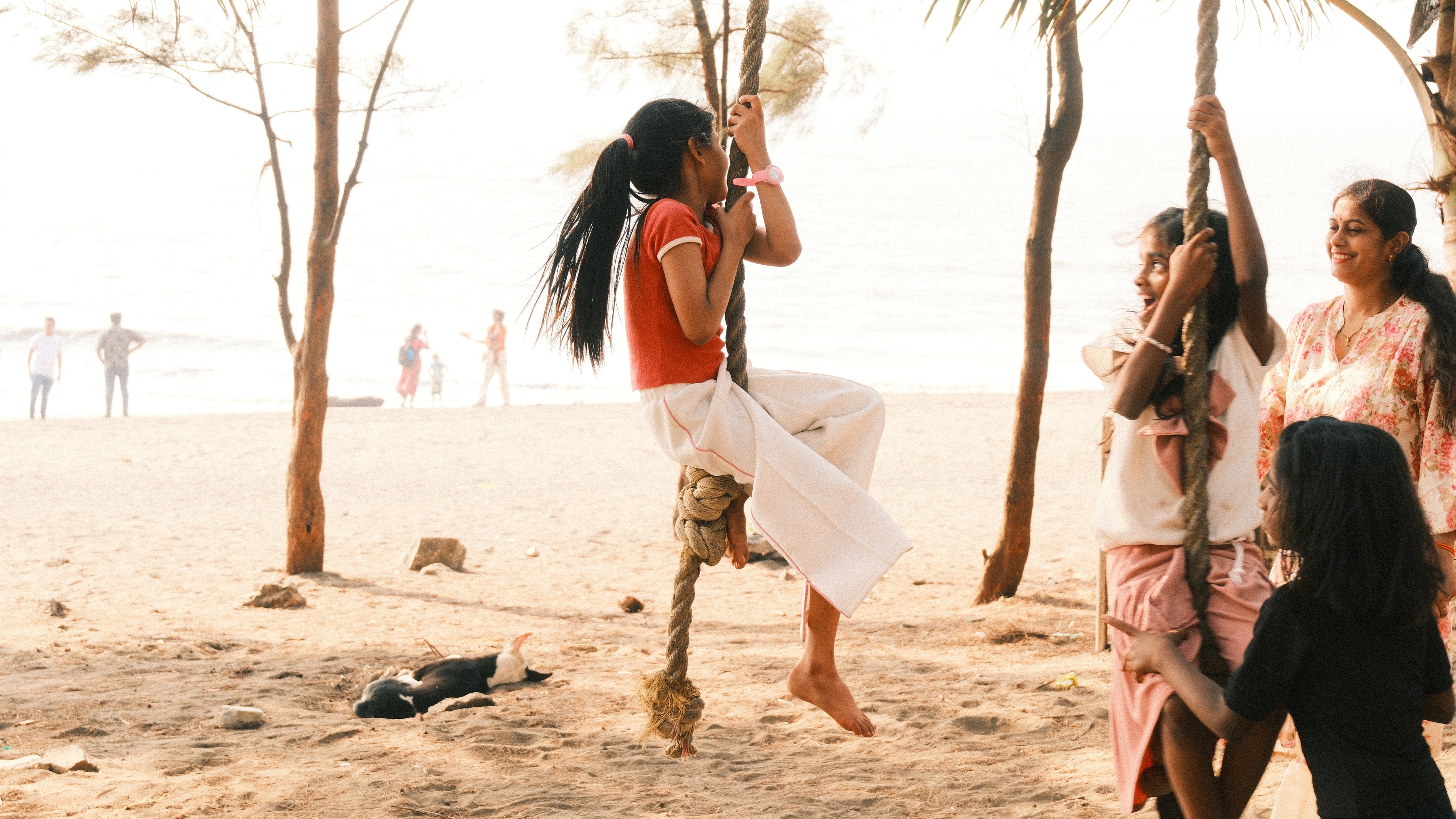 Young women playing on rope swings tied to trees on a beach
