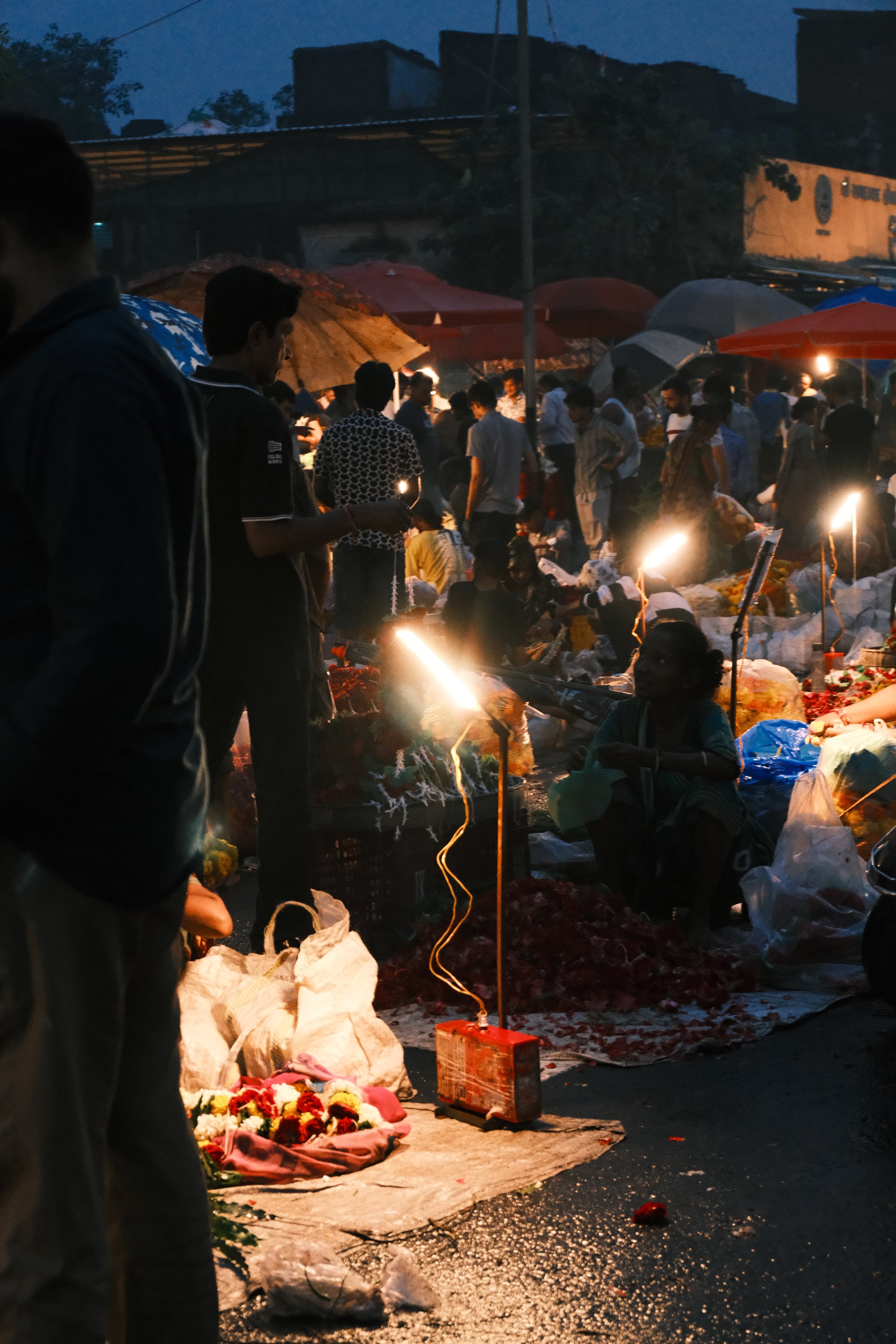 A single lamp burning among flower sacks and sellers in the blue light before sunrise