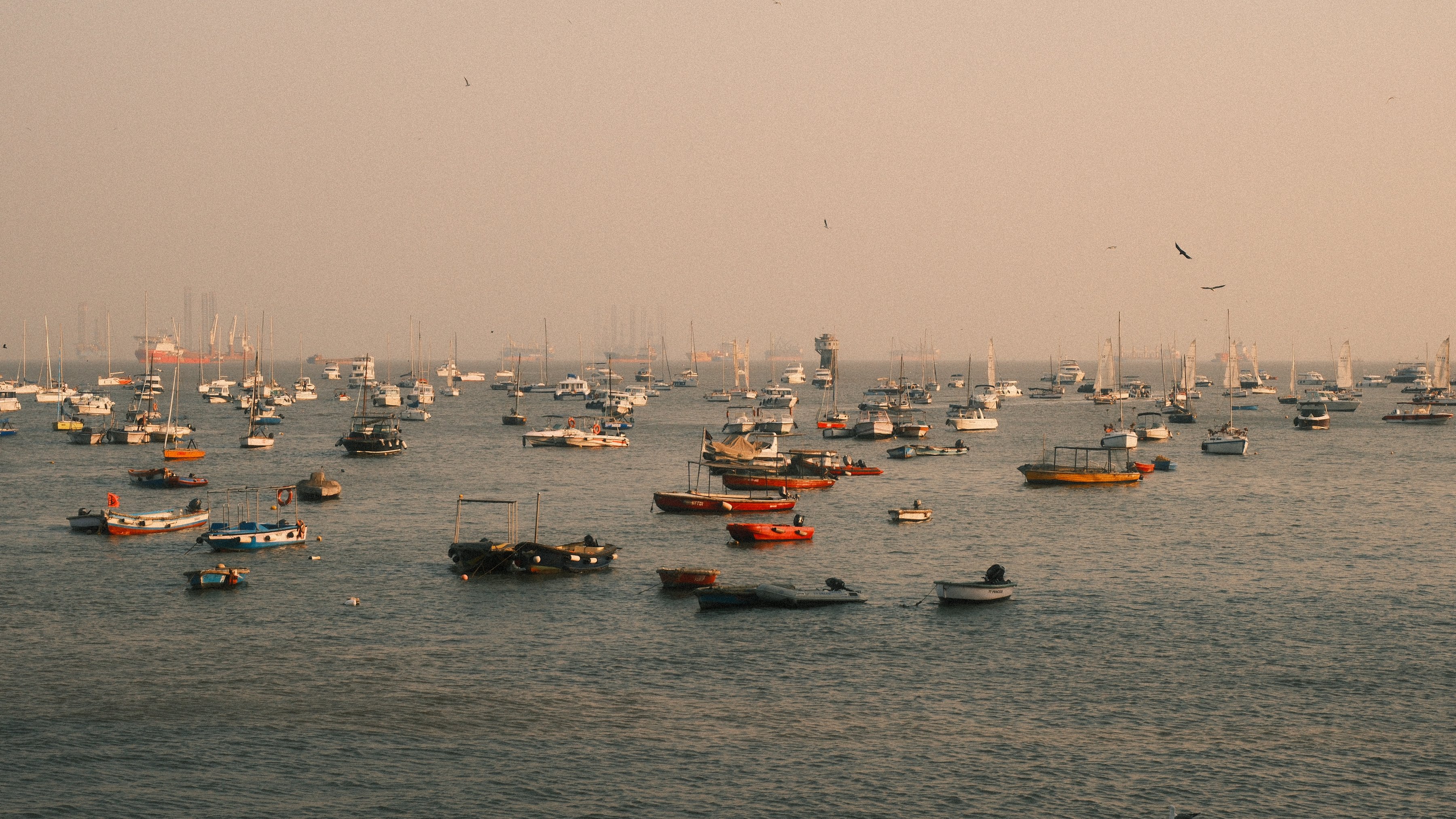 Dozens of small boats moored in a hazy harbour at dusk