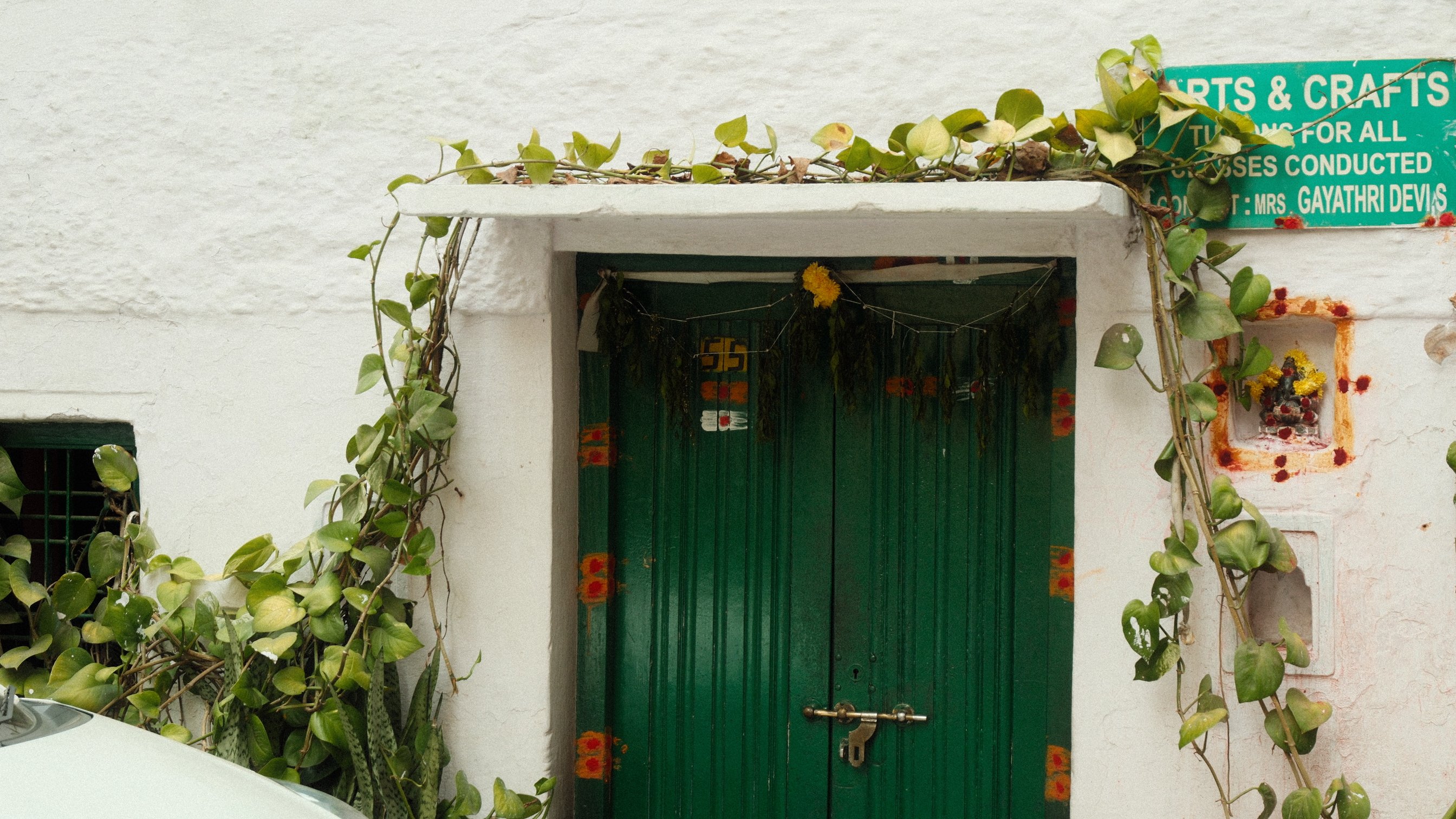 A green door framed by creepers in a white wall