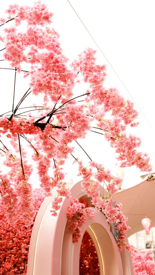 A pink archway beneath an installation of cherry blossom branches