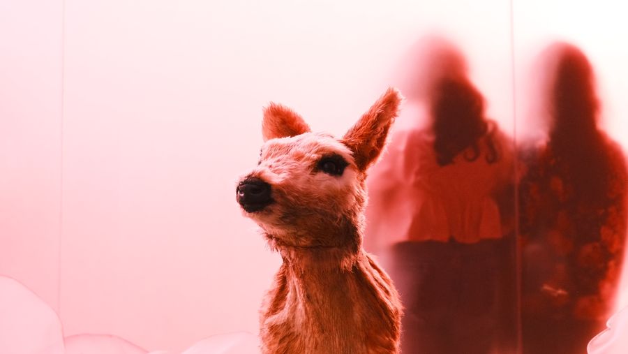 A deer sculpture in a pink room as visitors pass behind it, blurred