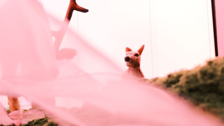 A small fawn sculpture on a mossy ridge, seen past pink fabric