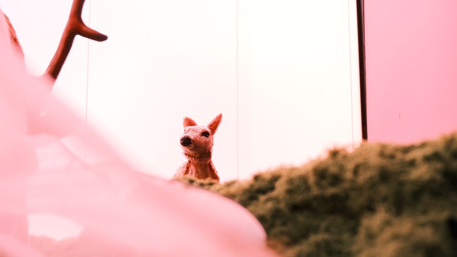 A fawn sculpture standing on a mossy ridge beside a branch of antler