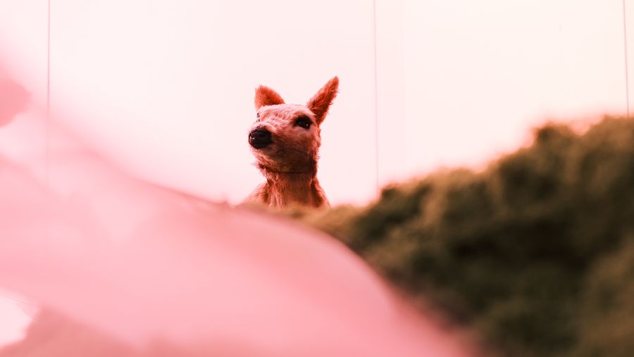 A fawn sculpture watching from the top of a mossy mound