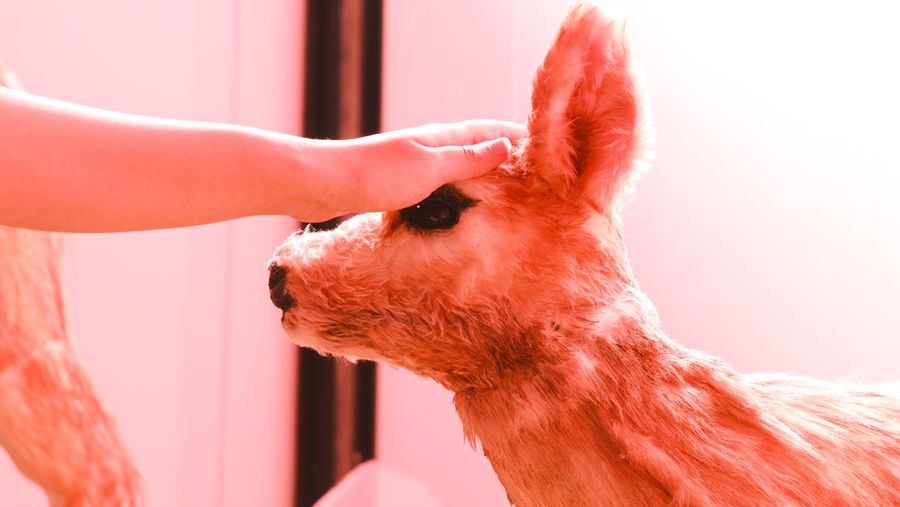A visitor’s hand resting on a fawn sculpture’s head