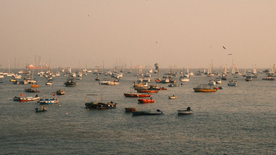 Dozens of small boats moored in a hazy harbour at dusk